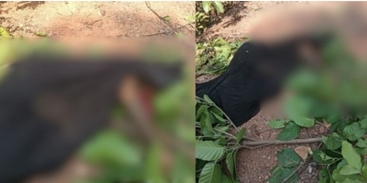 अंबिकापुर के कुल्हाड़ी गांव मं दुखद घटना, हाथी के हमला ले महिला के जान गेय