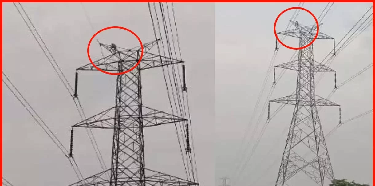 दू पत्नी ल एक संग रखे के जिद मं फेर हाईटेंशन टावर चढ़िस युवक, गांव मं मचगे हड़कंप