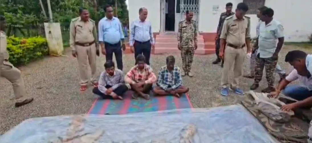 सूरजपुर में बाघ की खाल के साथ 3 संदिग्ध हिरासत में: WCCB की बड़ी कार्रवाई, वन्यजीव तस्करी के अंतरराज्यीय नेटवर्क की जांच तेज