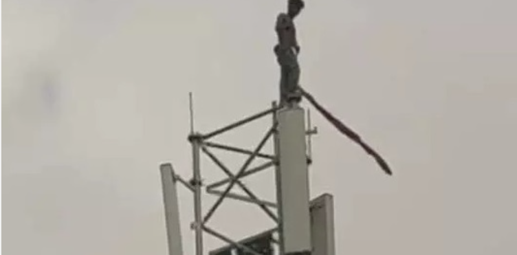 अंडा नइ मिलिस त गुस्सा म मोबाइल टावर म चढ़ गे युवक, सरगुजा के जमगला गांव म मचिस हड़कंप; समझाइश के बाद सुरक्षित उतारिस पुलिस